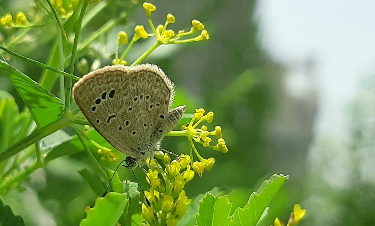 Science, like beauty, is everywhere you look